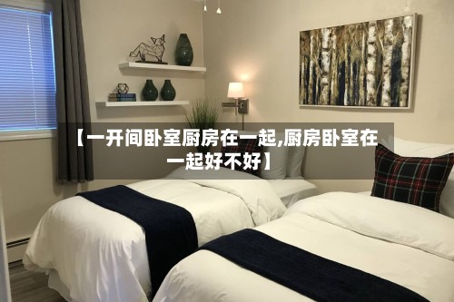 【一开间卧室厨房在一起,厨房卧室在一起好不好】-第2张图片