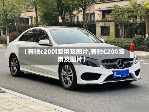 【奔驰c200l费用及图片,奔驰C200费用及图片】