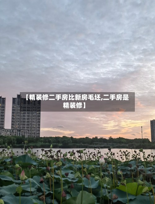 【精装修二手房比新房毛坯,二手房是精装修】
