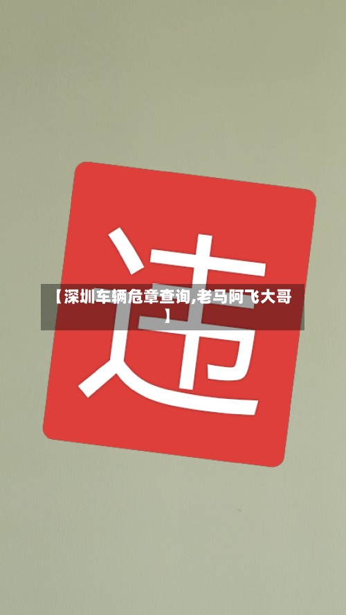 【深圳车辆危章查询,老马阿飞大哥】-第3张图片