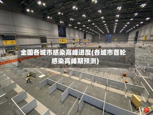 全国各城市感染高峰进度(各城市首轮感染高峰期预测)-第2张图片