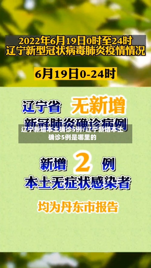 辽宁新增本土确诊5例/辽宁新增本土确诊5例是哪里的