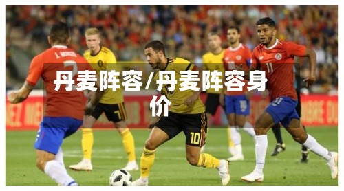 丹麦阵容/丹麦阵容身价