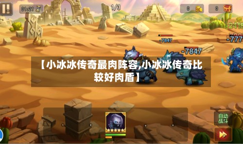 【小冰冰传奇最肉阵容,小冰冰传奇比较好肉盾】-第2张图片