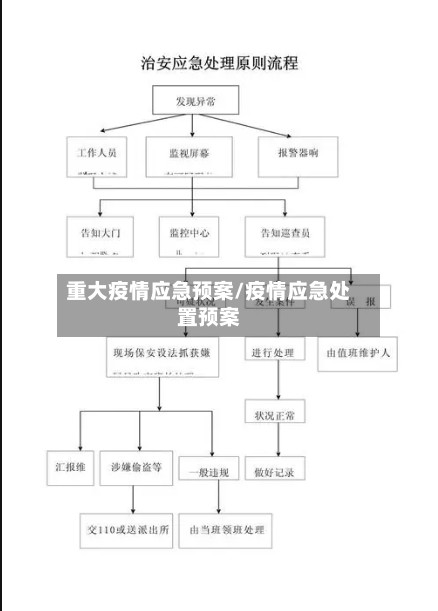 重大疫情应急预案/疫情应急处置预案-第2张图片