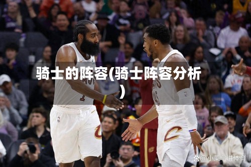 骑士的阵容(骑士阵容分析)