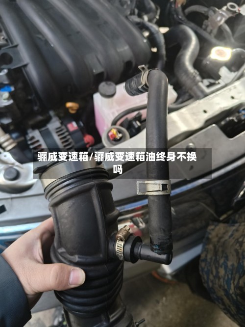 骊威变速箱/骊威变速箱油终身不换吗