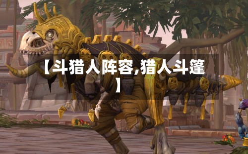 【斗猎人阵容,猎人斗篷】