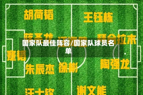 国家队最佳阵容/国家队球员名单-第2张图片