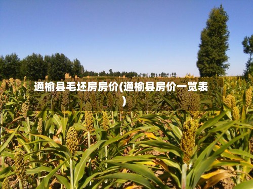 通榆县毛坯房房价(通榆县房价一览表)-第3张图片