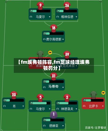 【fm埃弗顿阵容,fm足球经理埃弗顿罚分】