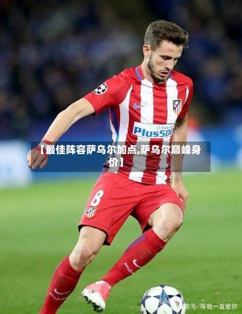 【最佳阵容萨乌尔加点,萨乌尔巅峰身价】