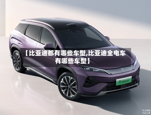 【比亚迪都有哪些车型,比亚迪全电车有哪些车型】