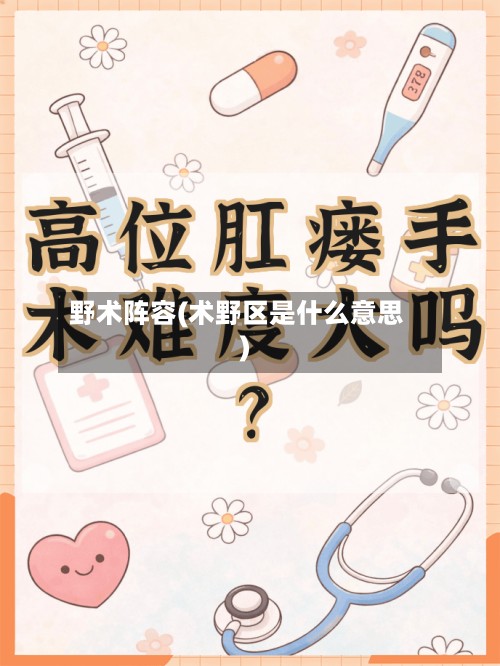 野术阵容(术野区是什么意思)