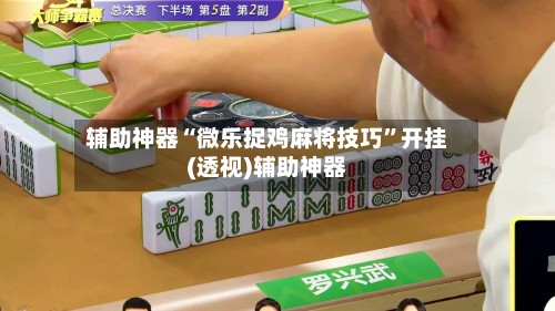 辅助神器“微乐捉鸡麻将技巧”开挂(透视)辅助神器-第2张图片