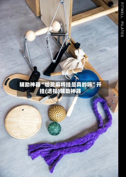 辅助神器“哈灵麻将挂是真的吗”开挂(透视)辅助神器-第2张图片