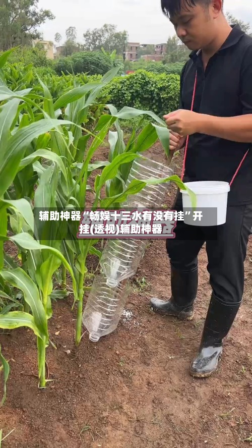 辅助神器“畅娱十三水有没有挂	”开挂(透视)辅助神器-第2张图片