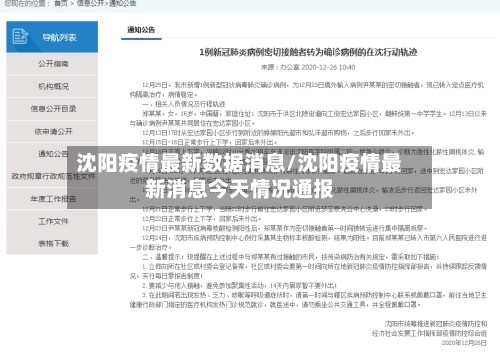 沈阳疫情最新数据消息/沈阳疫情最新消息今天情况通报-第2张图片