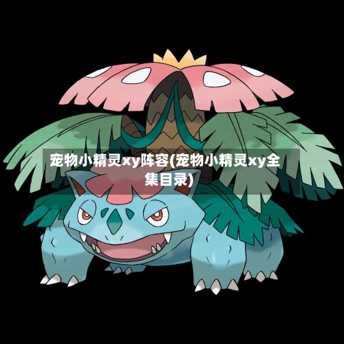 宠物小精灵xy阵容(宠物小精灵xy全集目录)-第2张图片