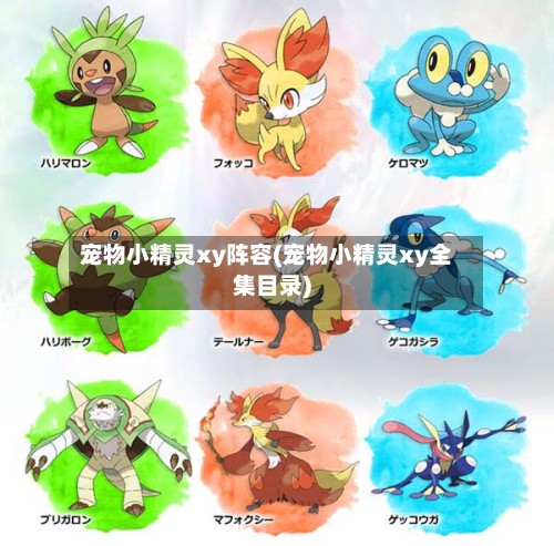 宠物小精灵xy阵容(宠物小精灵xy全集目录)