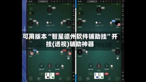 可用版本“智星德州软件铺助挂”开挂(透视)辅助神器-第3张图片