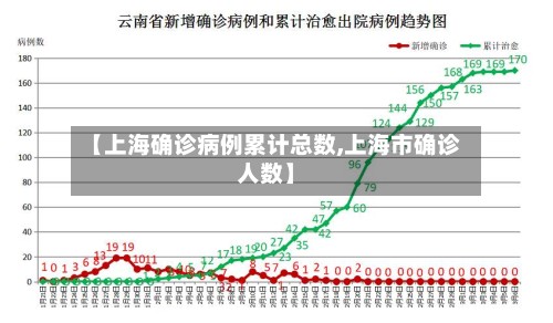 【上海确诊病例累计总数,上海市确诊人数】-第2张图片