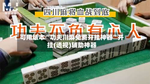 可用版本“功夫川麻免费开挂神器”开挂(透视)辅助神器-第3张图片
