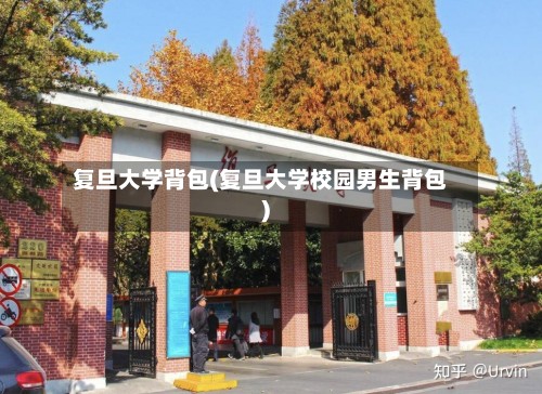 复旦大学背包(复旦大学校园男生背包)