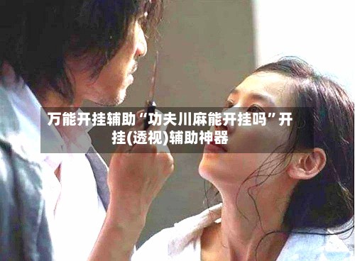 万能开挂辅助“功夫川麻能开挂吗	”开挂(透视)辅助神器-第3张图片