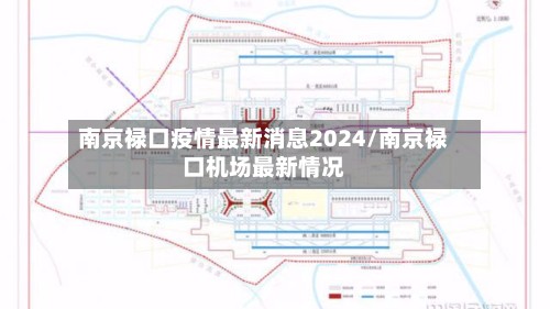 南京禄口疫情最新消息2024/南京禄口机场最新情况