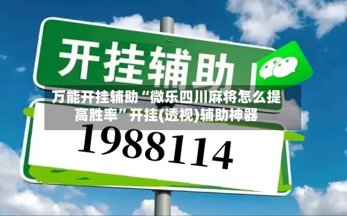 万能开挂辅助“微乐四川麻将怎么提高胜率”开挂(透视)辅助神器-第3张图片