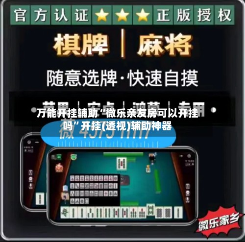 万能开挂辅助“微乐亲友房可以开挂吗”开挂(透视)辅助神器-第3张图片