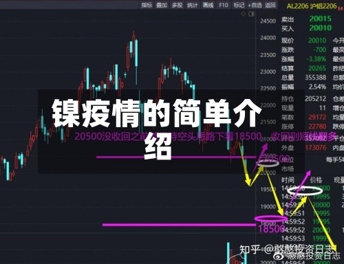 镍疫情的简单介绍