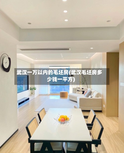 武汉一万以内的毛坯房(武汉毛坯房多少钱一平方)