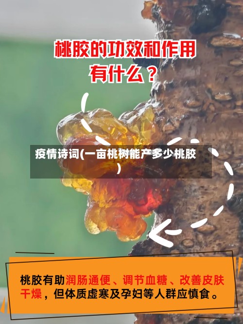 疫情诗词(一亩桃树能产多少桃胶)