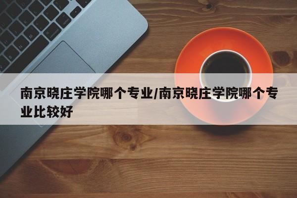 南京晓庄学院哪个专业/南京晓庄学院哪个专业比较好