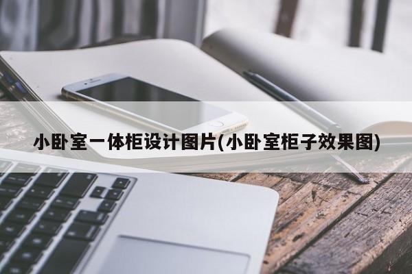 小卧室一体柜设计图片(小卧室柜子效果图)