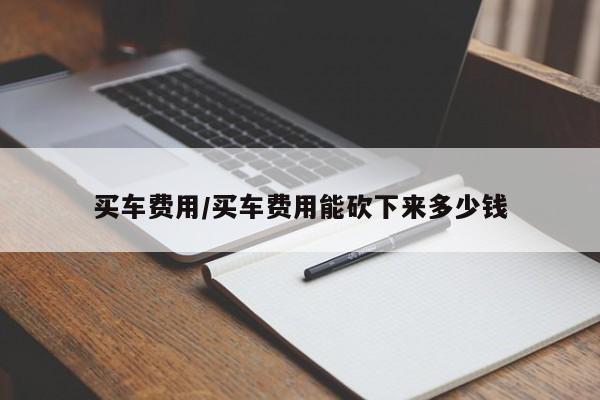 买车费用/买车费用能砍下来多少钱