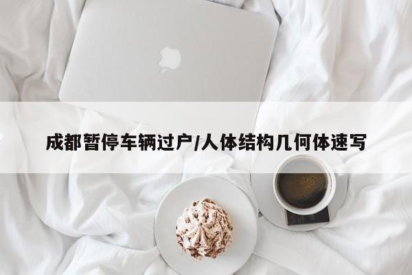 成都暂停车辆过户/人体结构几何体速写