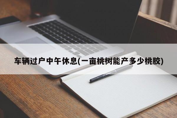 车辆过户中午休息(一亩桃树能产多少桃胶)