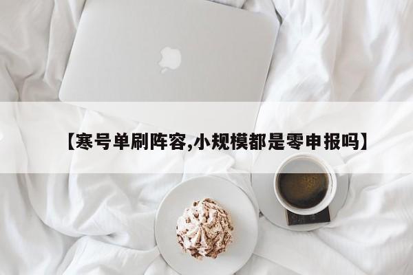 【寒号单刷阵容,小规模都是零申报吗】