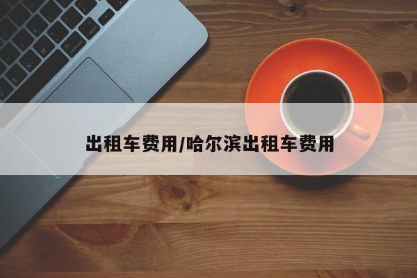 出租车费用/哈尔滨出租车费用
