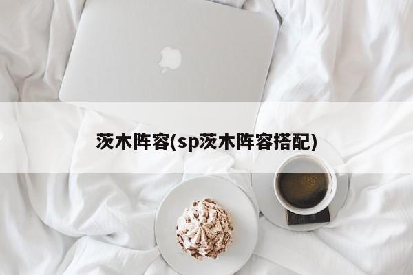 茨木阵容(sp茨木阵容搭配)