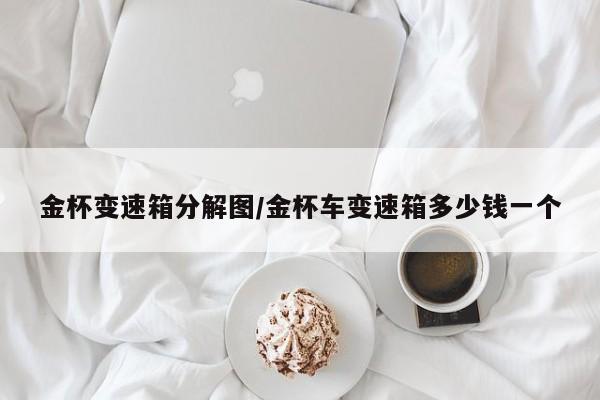 金杯变速箱分解图/金杯车变速箱多少钱一个