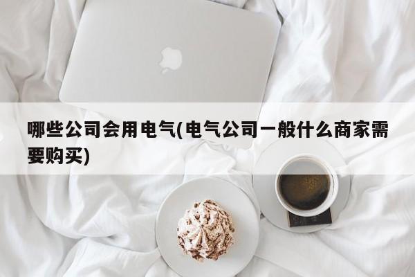 哪些公司会用电气(电气公司一般什么商家需要购买)