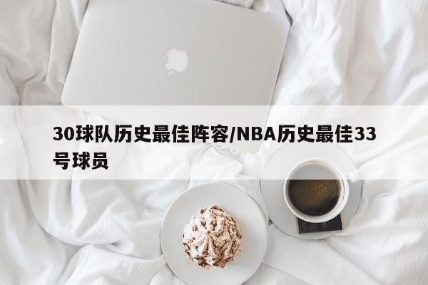 30球队历史最佳阵容/NBA历史最佳33号球员