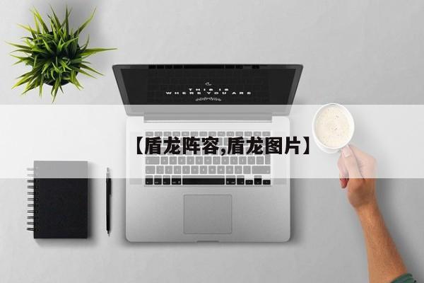 【盾龙阵容,盾龙图片】